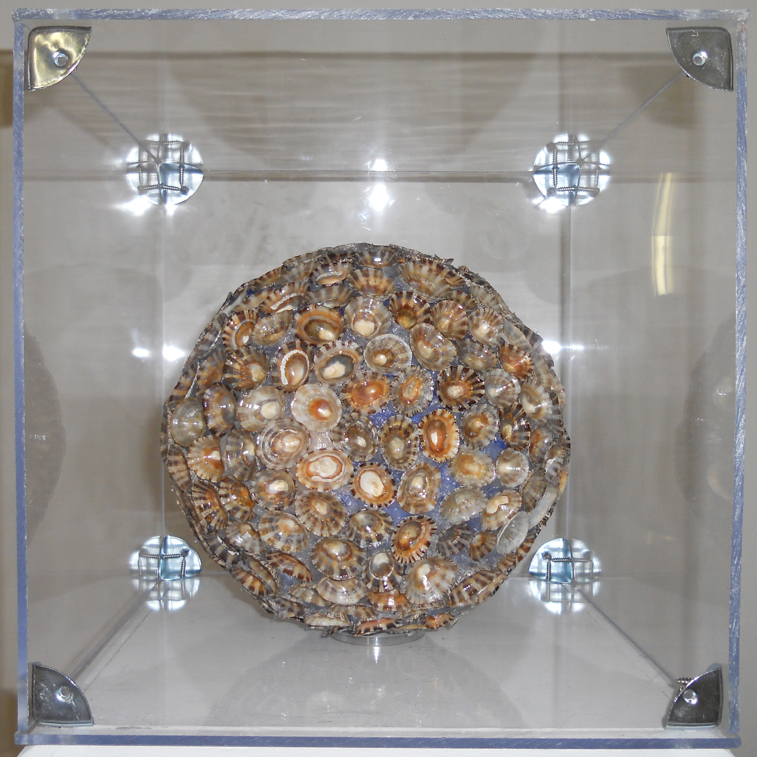 MW 14 (Hohe Aufl&ouml;sung)